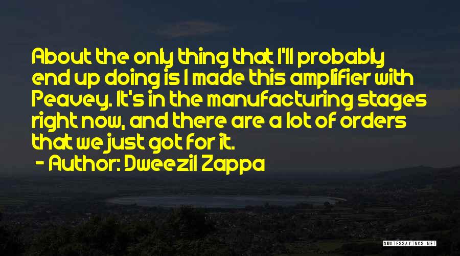 Dweezil Zappa Quotes: About The Only Thing That I'll Probably End Up Doing Is I Made This Amplifier With Peavey. It's In The