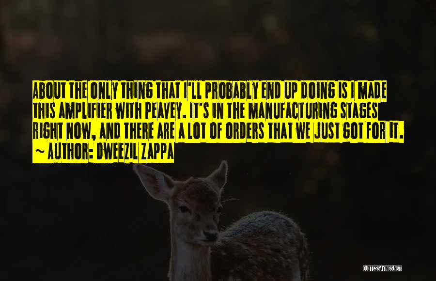 Dweezil Zappa Quotes: About The Only Thing That I'll Probably End Up Doing Is I Made This Amplifier With Peavey. It's In The