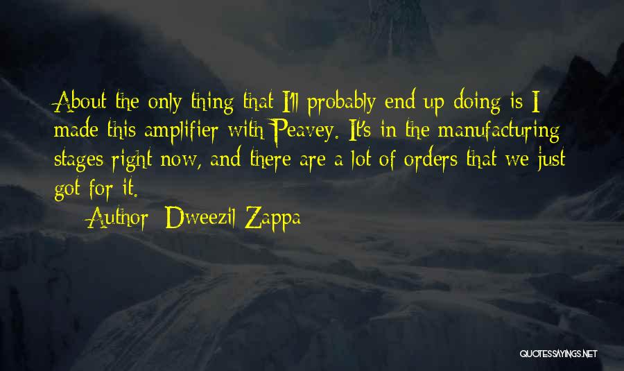 Dweezil Zappa Quotes: About The Only Thing That I'll Probably End Up Doing Is I Made This Amplifier With Peavey. It's In The