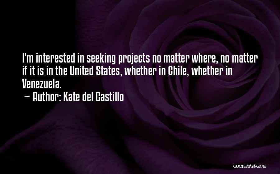 Kate Del Castillo Quotes: I'm Interested In Seeking Projects No Matter Where, No Matter If It Is In The United States, Whether In Chile,