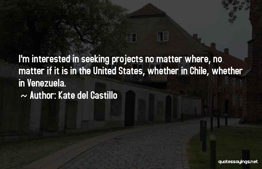 Kate Del Castillo Quotes: I'm Interested In Seeking Projects No Matter Where, No Matter If It Is In The United States, Whether In Chile,