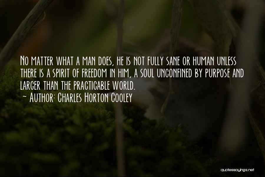 Charles Horton Cooley Quotes: No Matter What A Man Does, He Is Not Fully Sane Or Human Unless There Is A Spirit Of Freedom