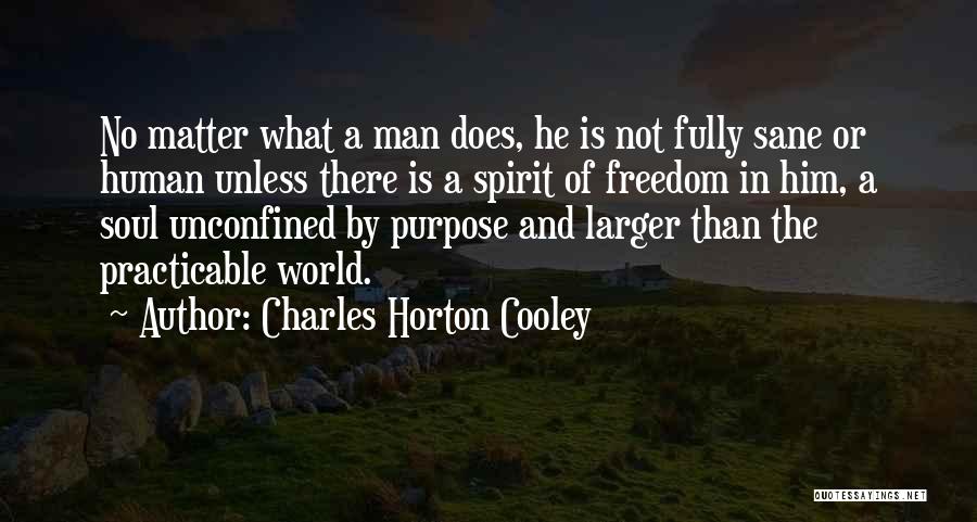 Charles Horton Cooley Quotes: No Matter What A Man Does, He Is Not Fully Sane Or Human Unless There Is A Spirit Of Freedom