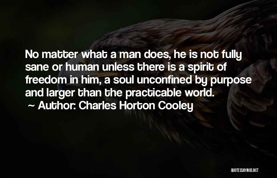 Charles Horton Cooley Quotes: No Matter What A Man Does, He Is Not Fully Sane Or Human Unless There Is A Spirit Of Freedom