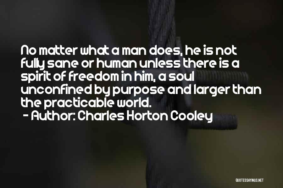 Charles Horton Cooley Quotes: No Matter What A Man Does, He Is Not Fully Sane Or Human Unless There Is A Spirit Of Freedom