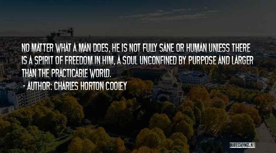 Charles Horton Cooley Quotes: No Matter What A Man Does, He Is Not Fully Sane Or Human Unless There Is A Spirit Of Freedom