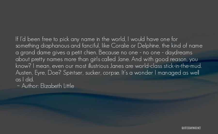 Elizabeth Little Quotes: If I'd Been Free To Pick Any Name In The World, I Would Have One For Something Diaphanous And Fanciful,