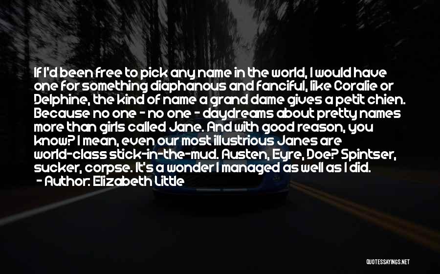 Elizabeth Little Quotes: If I'd Been Free To Pick Any Name In The World, I Would Have One For Something Diaphanous And Fanciful,