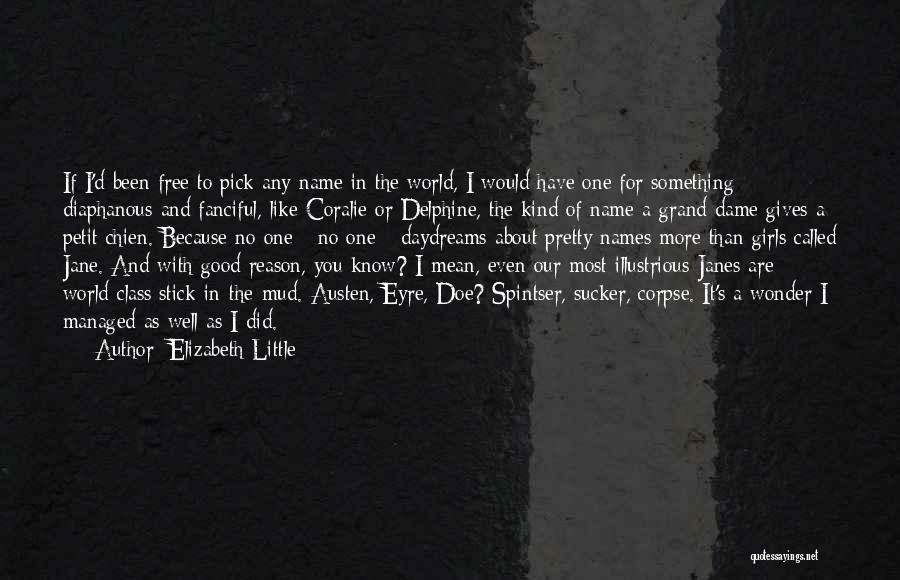 Elizabeth Little Quotes: If I'd Been Free To Pick Any Name In The World, I Would Have One For Something Diaphanous And Fanciful,