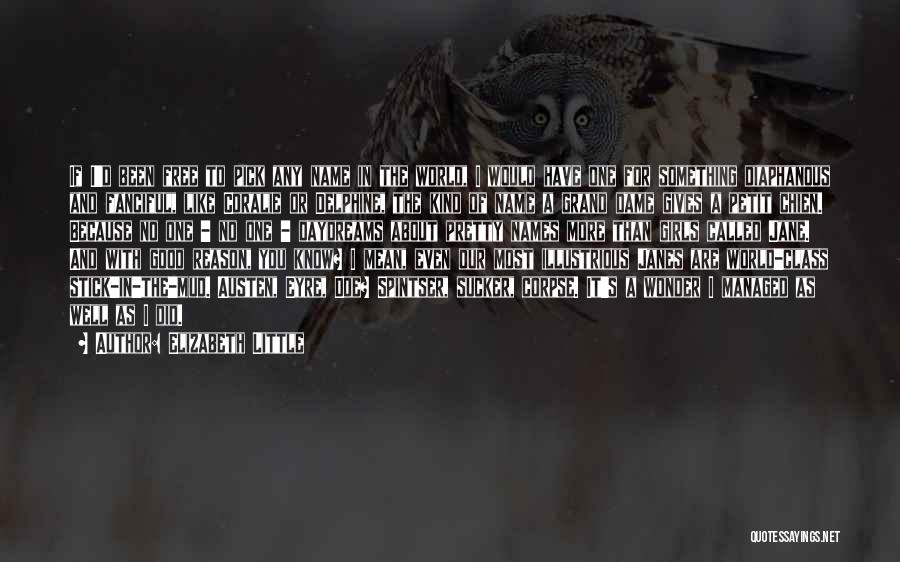 Elizabeth Little Quotes: If I'd Been Free To Pick Any Name In The World, I Would Have One For Something Diaphanous And Fanciful,