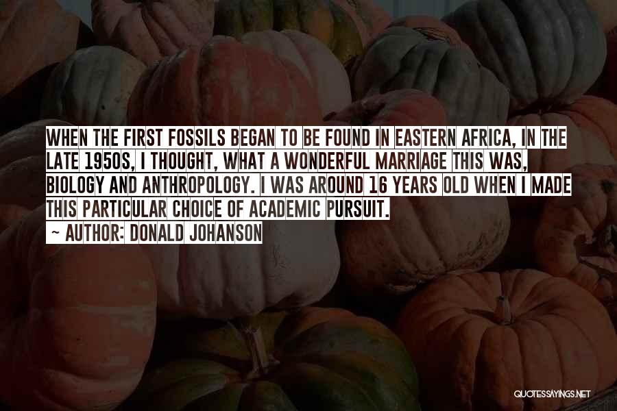 Donald Johanson Quotes: When The First Fossils Began To Be Found In Eastern Africa, In The Late 1950s, I Thought, What A Wonderful