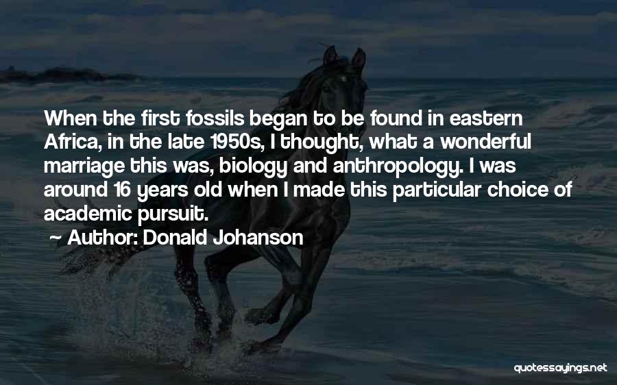 Donald Johanson Quotes: When The First Fossils Began To Be Found In Eastern Africa, In The Late 1950s, I Thought, What A Wonderful