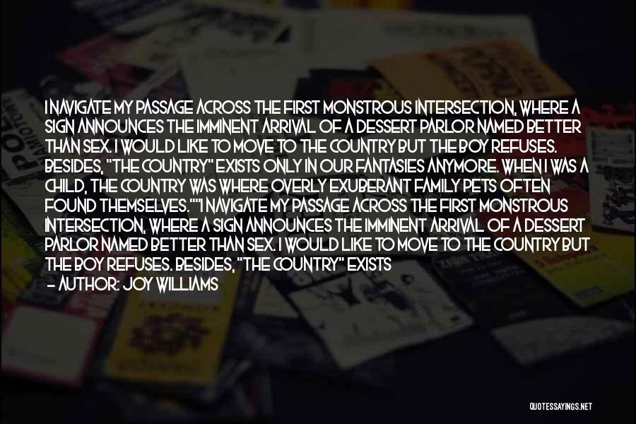 Joy Williams Quotes: I Navigate My Passage Across The First Monstrous Intersection, Where A Sign Announces The Imminent Arrival Of A Dessert Parlor