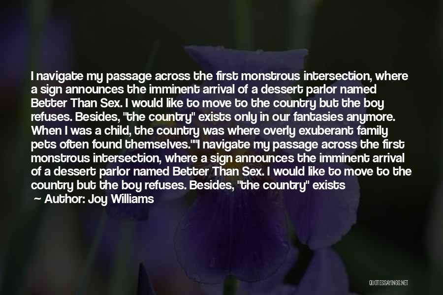 Joy Williams Quotes: I Navigate My Passage Across The First Monstrous Intersection, Where A Sign Announces The Imminent Arrival Of A Dessert Parlor