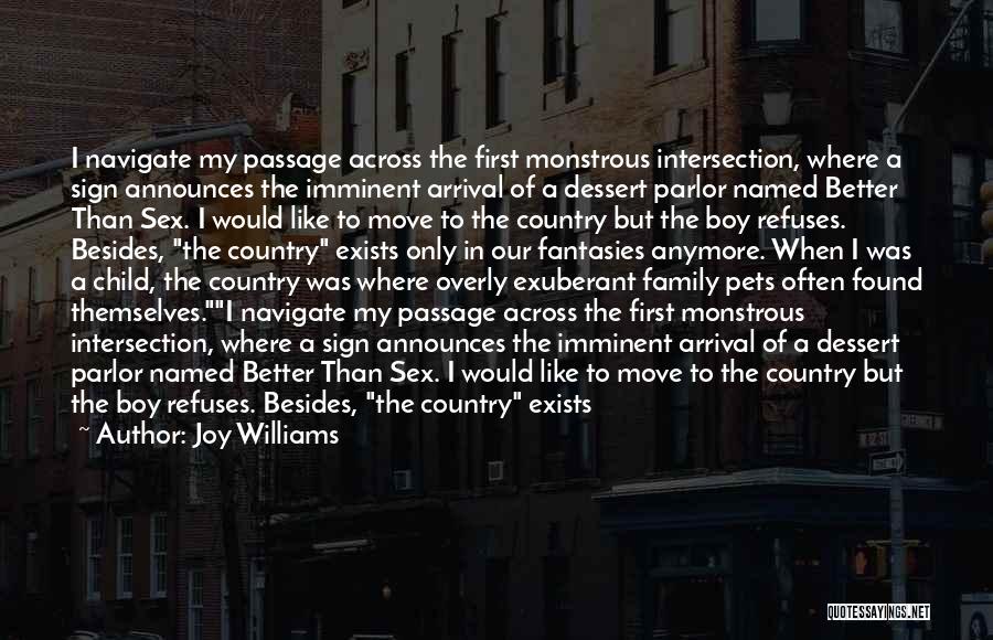 Joy Williams Quotes: I Navigate My Passage Across The First Monstrous Intersection, Where A Sign Announces The Imminent Arrival Of A Dessert Parlor