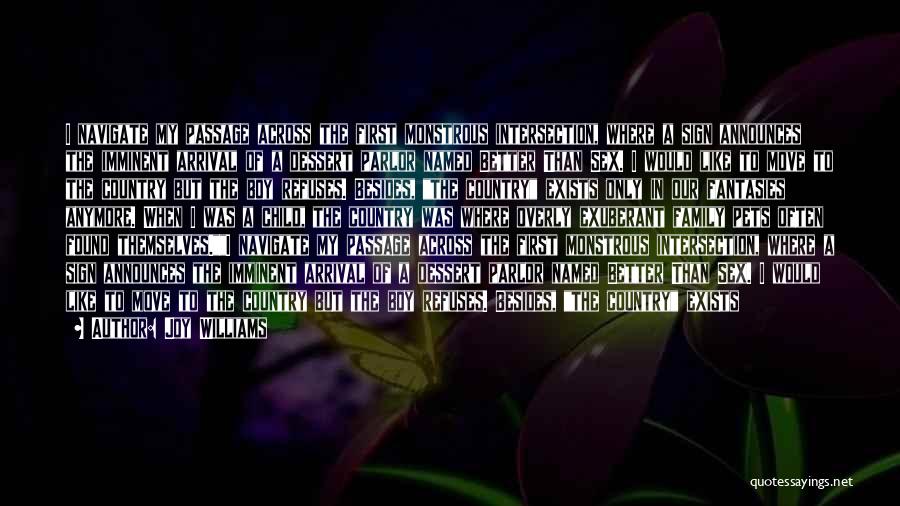 Joy Williams Quotes: I Navigate My Passage Across The First Monstrous Intersection, Where A Sign Announces The Imminent Arrival Of A Dessert Parlor