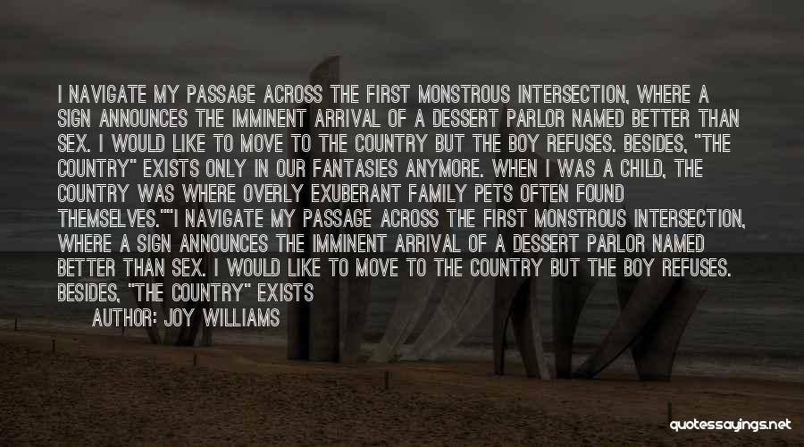 Joy Williams Quotes: I Navigate My Passage Across The First Monstrous Intersection, Where A Sign Announces The Imminent Arrival Of A Dessert Parlor