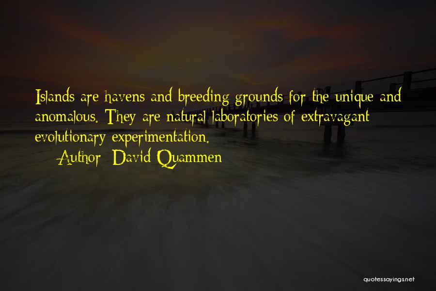 David Quammen Quotes: Islands Are Havens And Breeding Grounds For The Unique And Anomalous. They Are Natural Laboratories Of Extravagant Evolutionary Experimentation.