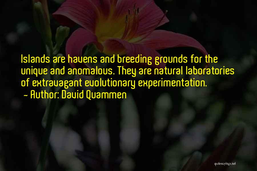 David Quammen Quotes: Islands Are Havens And Breeding Grounds For The Unique And Anomalous. They Are Natural Laboratories Of Extravagant Evolutionary Experimentation.