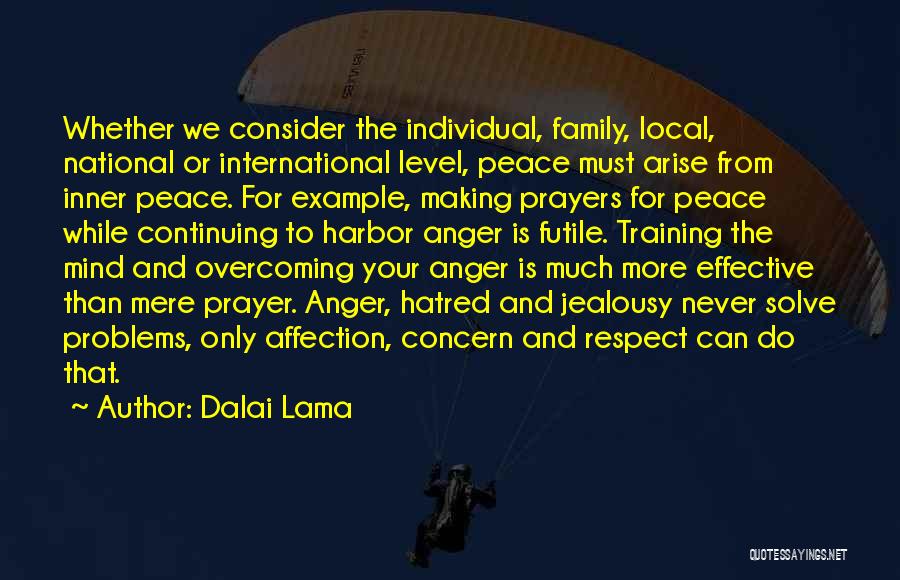 Dalai Lama Quotes: Whether We Consider The Individual, Family, Local, National Or International Level, Peace Must Arise From Inner Peace. For Example, Making
