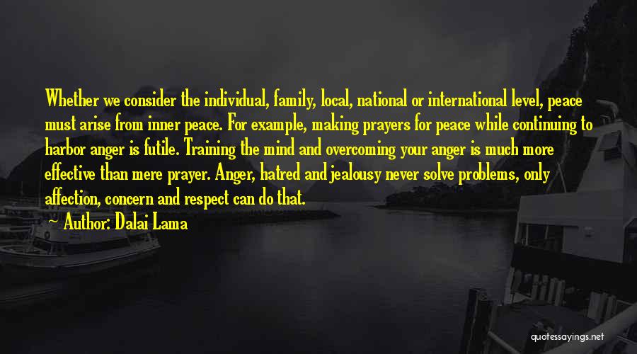 Dalai Lama Quotes: Whether We Consider The Individual, Family, Local, National Or International Level, Peace Must Arise From Inner Peace. For Example, Making