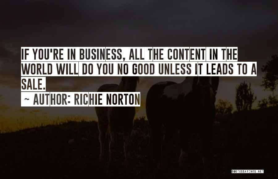 Richie Norton Quotes: If You're In Business, All The Content In The World Will Do You No Good Unless It Leads To A