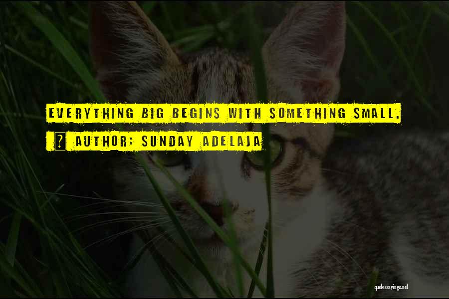 Sunday Adelaja Quotes: Everything Big Begins With Something Small.