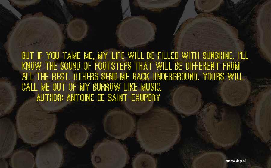 Antoine De Saint-Exupery Quotes: But If You Tame Me, My Life Will Be Filled With Sunshine. I'll Know The Sound Of Footsteps That Will