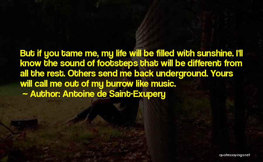 Antoine De Saint-Exupery Quotes: But If You Tame Me, My Life Will Be Filled With Sunshine. I'll Know The Sound Of Footsteps That Will