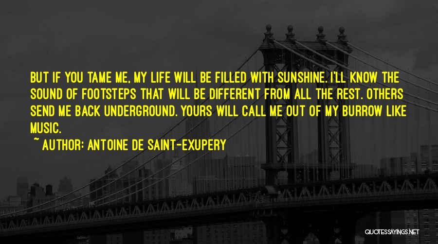 Antoine De Saint-Exupery Quotes: But If You Tame Me, My Life Will Be Filled With Sunshine. I'll Know The Sound Of Footsteps That Will