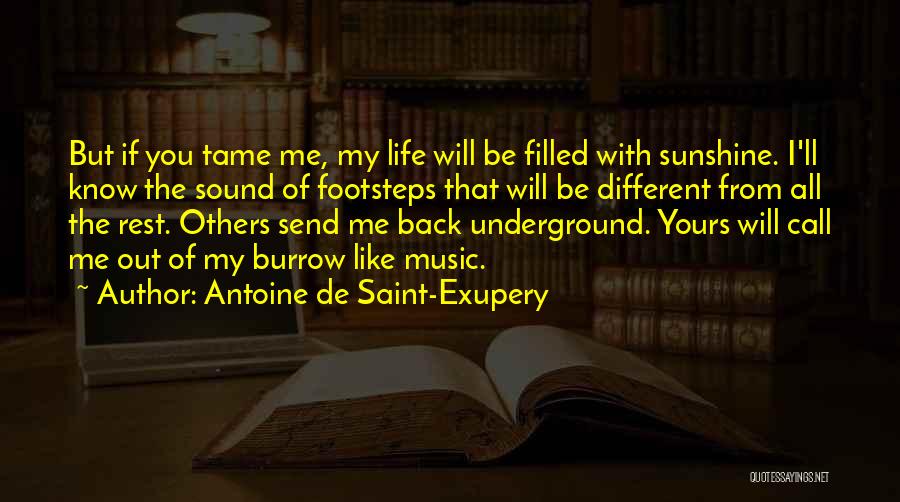 Antoine De Saint-Exupery Quotes: But If You Tame Me, My Life Will Be Filled With Sunshine. I'll Know The Sound Of Footsteps That Will