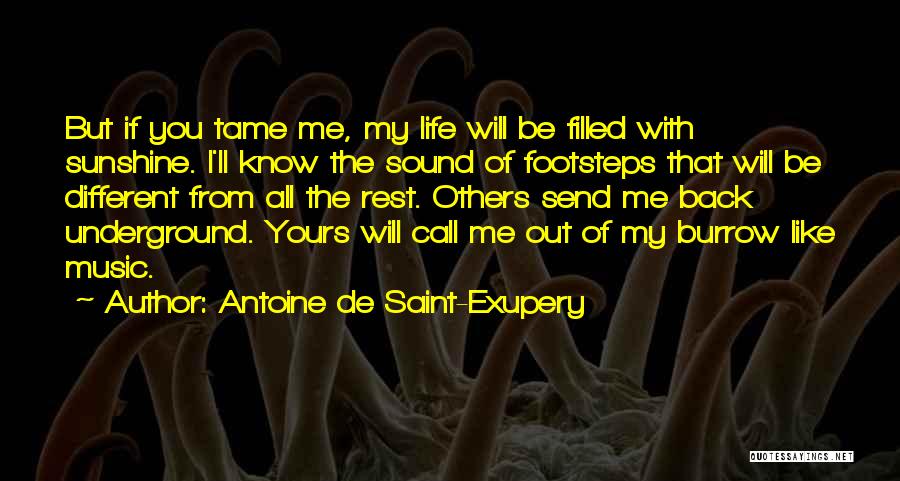 Antoine De Saint-Exupery Quotes: But If You Tame Me, My Life Will Be Filled With Sunshine. I'll Know The Sound Of Footsteps That Will