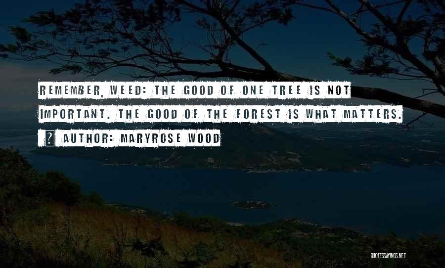 Maryrose Wood Quotes: Remember, Weed: The Good Of One Tree Is Not Important. The Good Of The Forest Is What Matters.