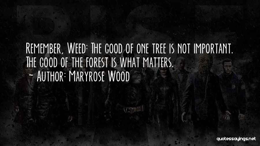 Maryrose Wood Quotes: Remember, Weed: The Good Of One Tree Is Not Important. The Good Of The Forest Is What Matters.