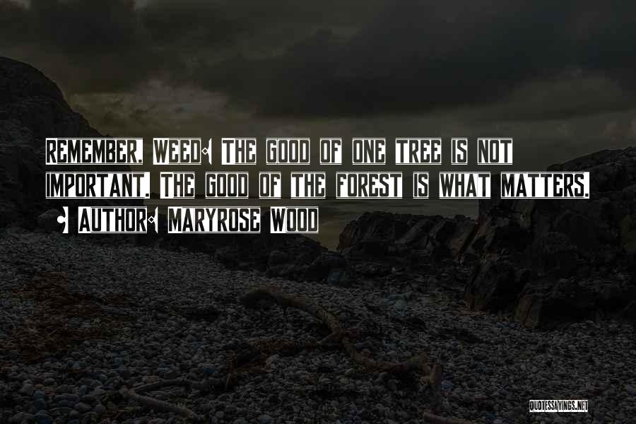 Maryrose Wood Quotes: Remember, Weed: The Good Of One Tree Is Not Important. The Good Of The Forest Is What Matters.