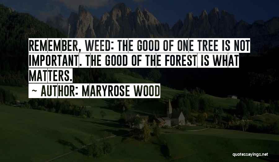 Maryrose Wood Quotes: Remember, Weed: The Good Of One Tree Is Not Important. The Good Of The Forest Is What Matters.