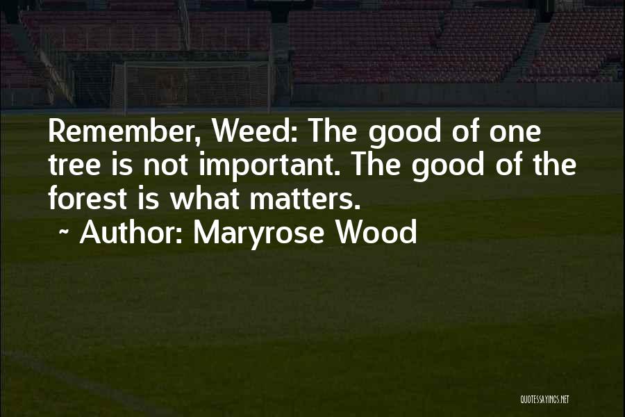 Maryrose Wood Quotes: Remember, Weed: The Good Of One Tree Is Not Important. The Good Of The Forest Is What Matters.