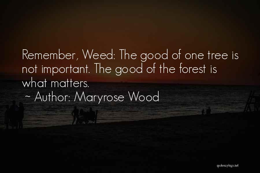 Maryrose Wood Quotes: Remember, Weed: The Good Of One Tree Is Not Important. The Good Of The Forest Is What Matters.