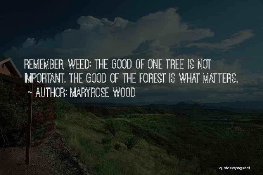 Maryrose Wood Quotes: Remember, Weed: The Good Of One Tree Is Not Important. The Good Of The Forest Is What Matters.