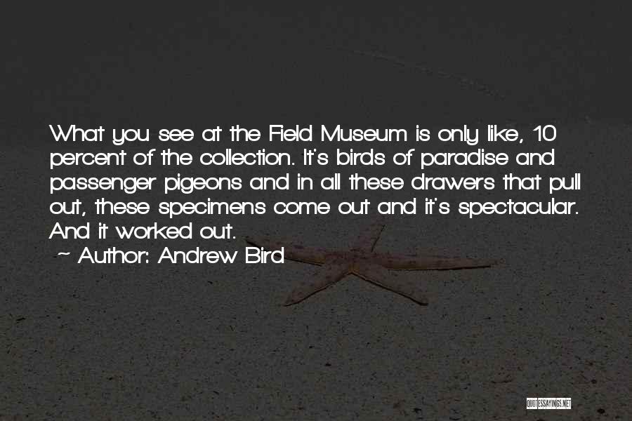 Andrew Bird Quotes: What You See At The Field Museum Is Only Like, 10 Percent Of The Collection. It's Birds Of Paradise And