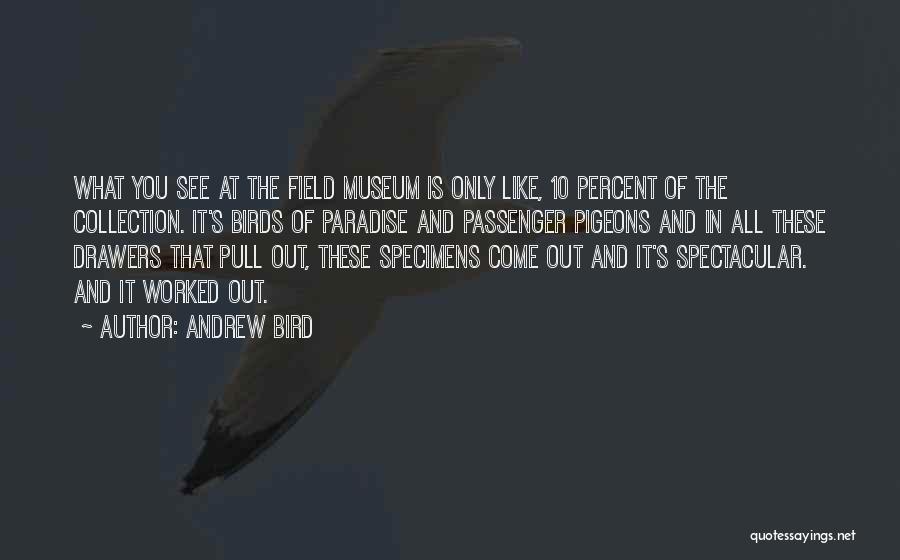 Andrew Bird Quotes: What You See At The Field Museum Is Only Like, 10 Percent Of The Collection. It's Birds Of Paradise And