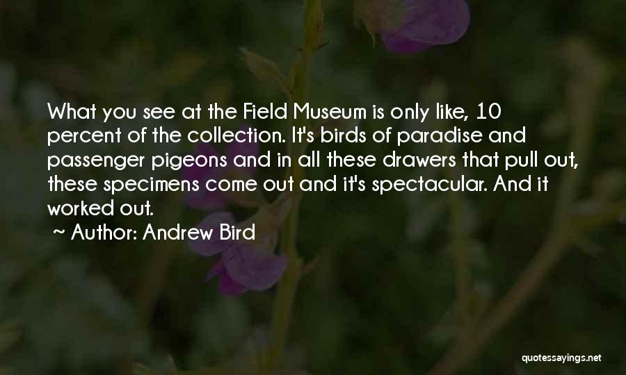 Andrew Bird Quotes: What You See At The Field Museum Is Only Like, 10 Percent Of The Collection. It's Birds Of Paradise And
