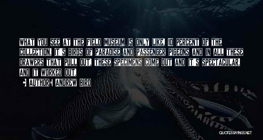 Andrew Bird Quotes: What You See At The Field Museum Is Only Like, 10 Percent Of The Collection. It's Birds Of Paradise And