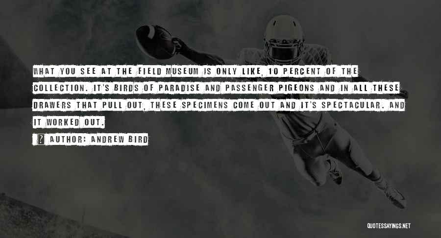 Andrew Bird Quotes: What You See At The Field Museum Is Only Like, 10 Percent Of The Collection. It's Birds Of Paradise And