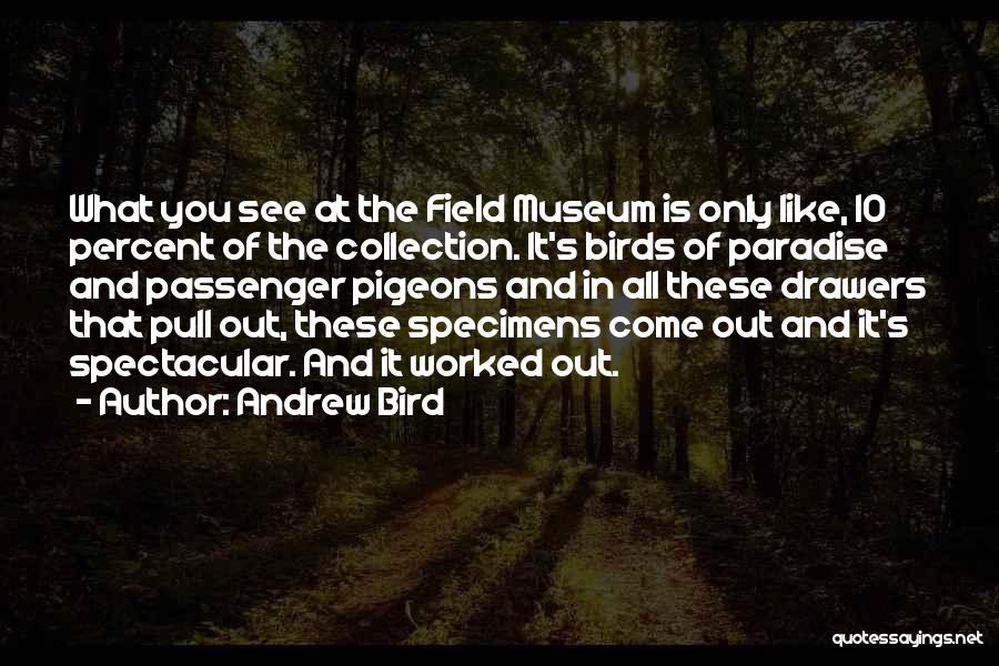 Andrew Bird Quotes: What You See At The Field Museum Is Only Like, 10 Percent Of The Collection. It's Birds Of Paradise And