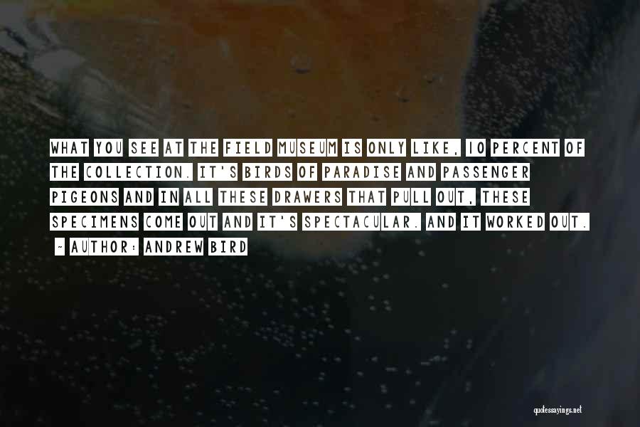 Andrew Bird Quotes: What You See At The Field Museum Is Only Like, 10 Percent Of The Collection. It's Birds Of Paradise And