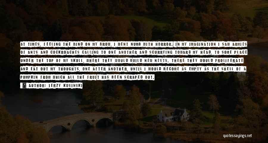 Jerzy Kosinski Quotes: At Times, Feeling The Wind On My Brow, I Went Numb With Horror. In My Imagination I Saw Armies Of