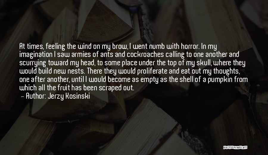 Jerzy Kosinski Quotes: At Times, Feeling The Wind On My Brow, I Went Numb With Horror. In My Imagination I Saw Armies Of