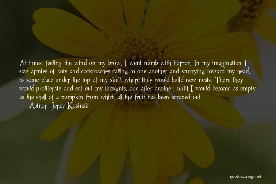 Jerzy Kosinski Quotes: At Times, Feeling The Wind On My Brow, I Went Numb With Horror. In My Imagination I Saw Armies Of