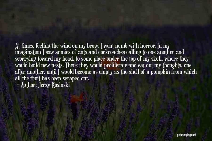 Jerzy Kosinski Quotes: At Times, Feeling The Wind On My Brow, I Went Numb With Horror. In My Imagination I Saw Armies Of